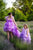 Mammas un meitas vienādas kleitas ''Viviāna