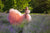 Pink girl's dress ''Vita'' made of soft tulle