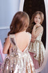 Dress for little princesses with golden sequins and powder pink tulle petticoat ''Agate''